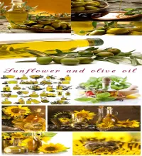 ستوكات زيتون Sunflower and olive oil - Stock photo