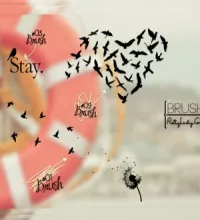 فرش طيور بوضعيات مختلفه للفوتوشوب birds brushes تحميل مباشر