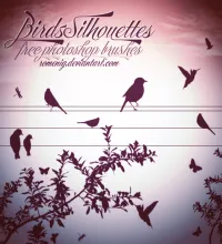 فرش فوتوشوب طيور Birds Silhouettes brushes