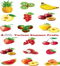فواكه منوعه فيكتور Vectors - Various Summer Fruits