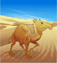 تصميم جمل عربي في الصحراء ملف مفتوح