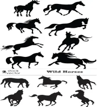 تصاميم خيول جميله Vectors - Wild Horses