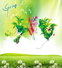 ملف مفتوح جميل ورود وحقول PSD Source - Spring 2013 Vol.8