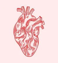تصميم رسم قلب رائع ومميز ملف مفتوح