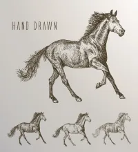 رسمة خيل حصان تصميم جميل ملف مفتوح 