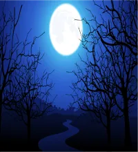 القمر بدر مع الاشجار تصميم ابداعي تحميل مباشر moonlight trees vector 