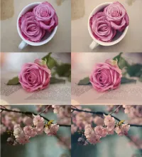 تحميل اكشن فوتوشوب الزهور Photoshop Blossom Actions