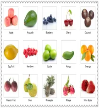تحميل وتنزيل فرش الفواكه Seasonal Fruits Brushes by Jiangsir تحميل وتنزيل فرش الفواكه Seasonal Fruits Brushes by Jiangsir