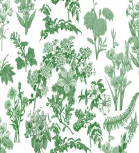 تحميل وتنزيل فرش الفوتوشوب النباتات Flora Brushes