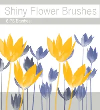 فرش فوتوشوب ورود جديده Shiny Flower Brushes