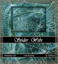 فرش شبكة العنكبوت تحميل مباشر Spider Web Brushes