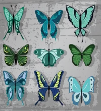 تحميل فيكتور فراشات روعه vectors -  Paper Butterfly Vector
