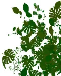 فرش اوراق جميله وجديده تحميل مباشر PLANTS BRUSHES
