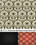 خلفيات نقش مميزه فيكتور Damask Backgrounds 59
