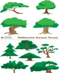 تصميم اشجار خضراء منوعه Different Green Trees