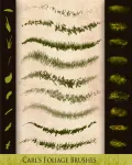 فرش اعشاب واوراق فوتوشوب روعه Foliage Brushes 