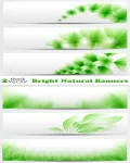بنرات رائعه جديده Vectors - Bright Natural Banners