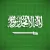 تصاميم السعودية