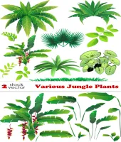 فيكتور اوراق خضراء باشكال مختلفه Vectors - Various Jungle Plants