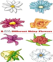 تصميم ورود مرسومه ملونه وجديده Different Shiny Flowers