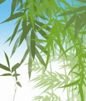 فرش اوراق واغصان فوتوشوب Bamboo