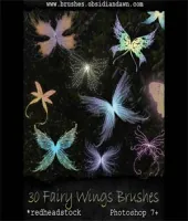 فرش اجنجه فوتوشوب جميله ورائعه Fairy Wings Brushes