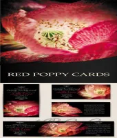 بطاقات ورود حمراء جميله Red Poppy Cards