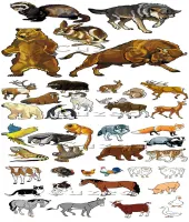 فيكتور حيوانات  Wild and house animals in vector