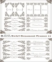 اطارات وزخارف فيكتور مميزه Swirl Ornament Frames 11