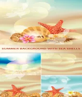 خلفيات جميله وجديده Summer background with sea shells