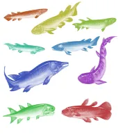 تحميل وتنزيل فرش فوتوشوب اسماك Fleshy Lobed Fish Brushes