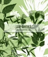 تحميل فرش فوتوشوب اوراق Free Leaf Brushes