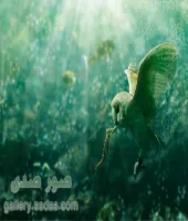 تصميم دمج رائع لطائر البومه بداخل البحر ملف مفتوح psd
